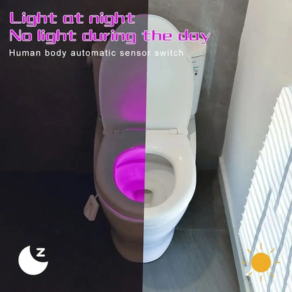 Toilet Night Light Motion Activated